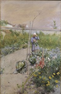 A konyhakertben, 1883 alkotó: Carl Larsson